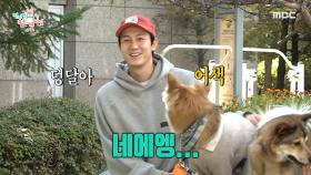 산책을 위해 테디와 집을 나선 이기우! 🥰 동네 친구 둥글이와 만나 신난 테디, MBC 221112 방송