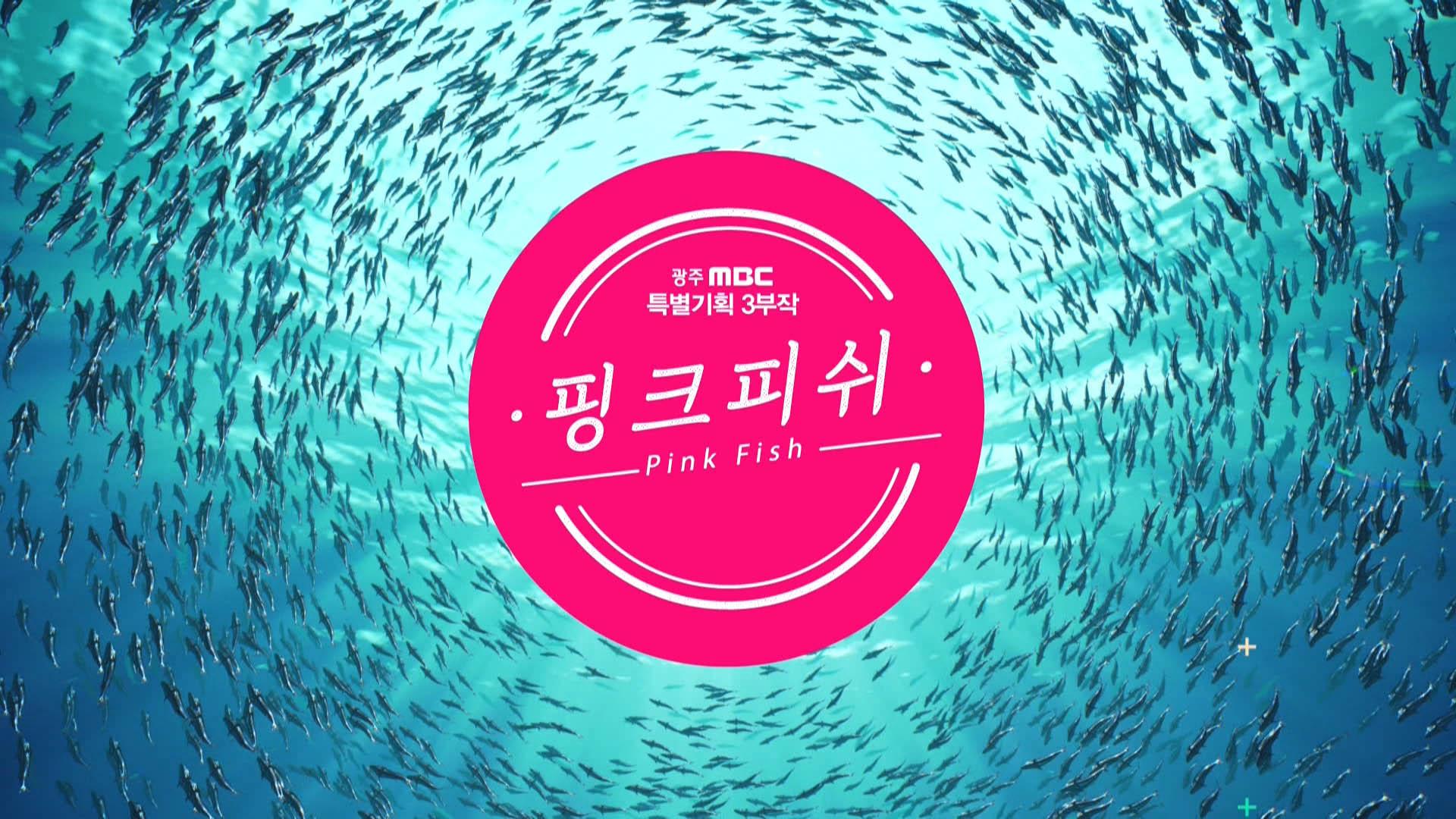 핑크피쉬 - 광주MBC | ZUM TV