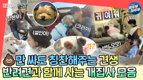 [엠뚜루마뚜루] 산책으로 시작해 산책으로 끝나는 반려견 모시는 개집사 모음집🐕💖ㅣ#나연 #모모 #키 #설인아 #크러쉬 #전현무 MBC220916방송