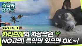 카리브해의 지상낙원🏝 고민하지 마! 스트레스 받지마! 음악만 있으면 OK♬ 도미니카공화국 친구들♥ l #어서와정주행​ l #MBCevery1 l EP.115-1