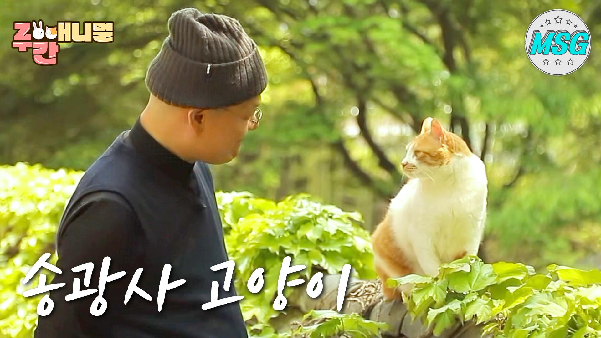 매일 냥이와 이별연습 입니다! Practicing separation from #ZOO간애니멀#MBCLIFE 하하랜드MBC180523 방송 | ZUM TV
