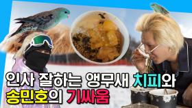 [#주간예능연구소] 나혼자산다 송민호 MINO 🦜반려 앵무새 치피 ＂안녕~＂✨ #송민호 #MINO MBC 230210 등 방송