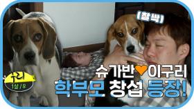 《스페셜》 슈가반💕귀염둥이 구리와 함께 보내는 창섭의 행복한 하루 일과💖, MBC 230324 방송
