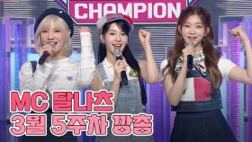 3월 5주차 쇼챔피언 🍩MC 달나츠🌙 모음.zip (우아! 나나, 빌리 문수아&츠키) | Show Champion | EP.469