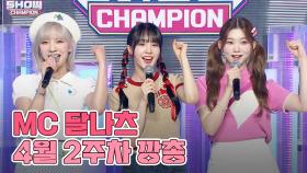4월 2주차 쇼챔피언 🍩MC 달나츠🌙 모음.zip (우아! 나나, 빌리 문수아&츠키) | Show Champion | EP.471