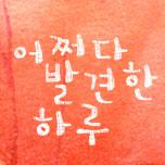 어쩌다 발견한 하루