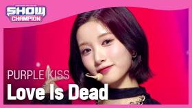 [쇼챔 에세이] 퍼플키스(PURPLE KISS) - Love Is Dead