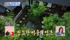 집안에 대나무 품은 연못이?! 신비로움에 이국적인 멋 한 방울, MBC 230727 방송