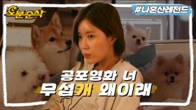 [오분순삭] ♪수향's TIP♫ 강아지들과 함께 무서운 걸 보면 마음에 위안이 됩니다 (※단, 안 무섭다고는 안 했음※) | 나혼자산다⏱오분순삭 MBC190809방송