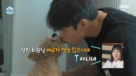 섬세하고 조심스럽게 막둥이 지니 케어하는 윤성빈 🐕 복실복실 지니로 변신, MBC 230728 방송