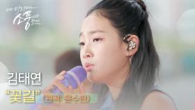김태연 – 꽃길 (원곡 : 윤수현) | #피크닉라이브소풍 | EP.124
