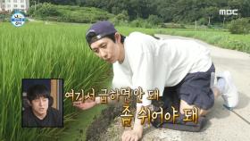 동심으로 돌아간 코드 쿤스트의 개구리 잡기🎈 ＂오오오 참개구리!🐸＂ , MBC 230811 방송