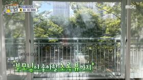 반짝반짝한 화이트 톤 인테리어✨ 부모님이 좋아할 초록 뷰의 거실🌿, MBC 230928 방송