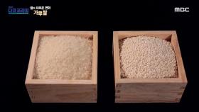 전 세계 어디에서도 실용화되지 않은 처음 보는 형태의 쌀, 가루쌀, MBC 230924 방송