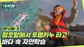 장호항에서 투명카누 타고 바다 속 자연학습🌊 l #어서와정주행​ l #MBCevery1 l EP.196-3