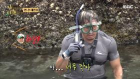 너무 빠른 물고기들💦 드디어 첫 조개를 수확한 추성훈🎉, MBC 231016 방송