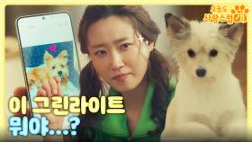 야심한 밤🌙 박규영에게 온 이현우의 문자⁉️ ＂이 그린라이트 뭐야...?＂, MBC 231115 방송