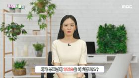 우리말 맞춤법 - 안갚음/앙갚음, MBC 231127 방송