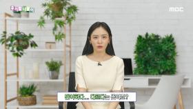 우리말 맞춤법 - 판이하다/판이하게 다르다, MBC 231129 방송