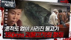 [미스터리 노트] 흔적도 없이 사라진 물고기, 150cm 괴물고기의 정체｜#미스터리노트 MBC980417방송