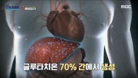 간의 독성 물질을 해독하는 글루타치온, MBC 231231 방송