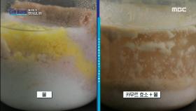 탄수화물을 분해하는 카무트 효소, MBC 240128 방송
