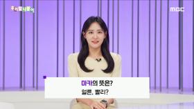 사투리 퀴즈 - 마카/전부/모두/단디/단단히, MBC 240216 방송