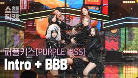[쇼챔직캠 4K] PURPLE KISS - Intro : Crush + BBB (퍼플키스 - 크러시 + 비비비) | Show Champion | EP.511 | 240327