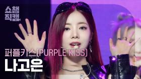 [쇼챔직캠 4K] PURPLE KISS NA GO EUN - Intro : Crush+BBB (퍼플키스 나고은 - 크러시+비비비)|ShowChampion|EP.511|240327