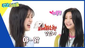 국보급 성대듀오 희쭈의 대결! 명창포메 원희🐶 VS 실크성대 민주🎵