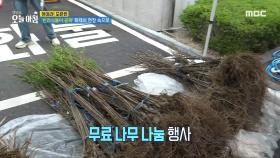 '반려식물이 공짜' 화제의 현장 속으로!, MBC 240409 방송