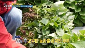 초보 농사꾼家의 좌충우돌 전원일기 ＜1부＞, MBC 240415 방송