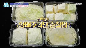 버릴 것 없다! 양배추 알뜰하게 먹는 법!, MBC 240416 방송