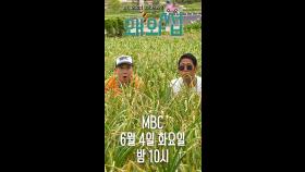 마늘밭🧄에서 네 방귀향💨이 느껴진거야, MBC 240604 방송