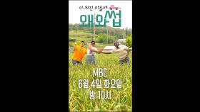 교포즈+조나단 = ★교포단 결성★, MBC 240604 방송