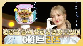 《스페셜》 💕청량한 음색 요정 그리고 명창 고양이🐱 아이브 리즈 하이라이트!, MBC 240519 방송