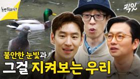 [픽잇] 비둘기와 오리에게 범인이 여기를 지나갔었냐고 물어보았다. MBC240413방송