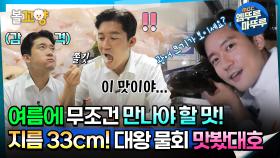 [#퇴근후N] 여름에 무조건 만나야 할 맛! 지름 33cm 30년 내공의 대왕 물회 맛봤대호 | MBC220819 방송