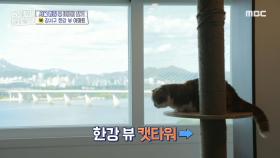 고양이도 좋아하는 한강 뷰😻 매매가 7억 원대 강서구 두물머리 한강 뷰 아파트, MBC 240627 방송