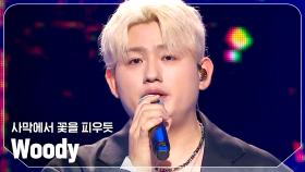 [SPECIAL STAGE] 우디(Woody) - 사막에서 꽃을 피우듯 l 240710