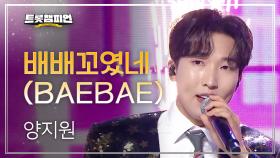 양지원 - 배배꼬였네 (BAEBAE) l 트롯챔피언 l EP.43