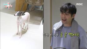 쑝·콩을🐶 위한 닭 가슴살이 없어졌다?! 최다니엘의 우당탕탕 보양식 만들기, MBC 240720 방송