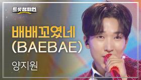 양지원 - 배배꼬였네 (BAEBAE) l 트롯챔피언 l EP.44