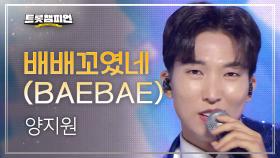 양지원 - 배배꼬였네 (BAEBAE) l 트롯챔피언 l EP.45