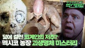 [서프라이즈 엑스파일] 덫에 걸린 외계인의 저주? 멕시코 농장 괴생명체 미스터리 #서프라이즈 MBC130324방송