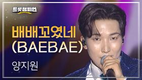 양지원 - 배배꼬였네 (BAEBAE) l 트롯챔피언 l EP.46