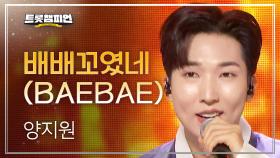 양지원 - 배배꼬였네 (BAEBAE) l 트롯챔피언 l EP.48