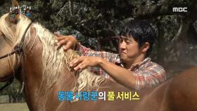 승모근 마사지까지 풀 서비스! 동물 사랑꾼 기안84의 특급 케어🐴, MBC 240922 방송