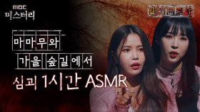 [별 헤는 괴담] 마마무와 가을 숲길에서 심괴 1시간 ASMR #심야괴담회 #심괴 #어둑시니 MBC230202방송