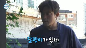 지붕을 뒤덮은 거미줄과 나무🌳 김대호의 우당탕탕 지붕 청소, MBC 241004 방송